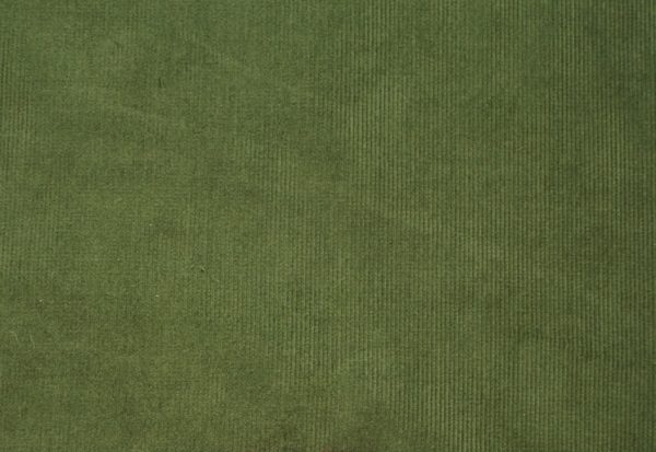 Bio Cord uni dunkelgrün / ivy green