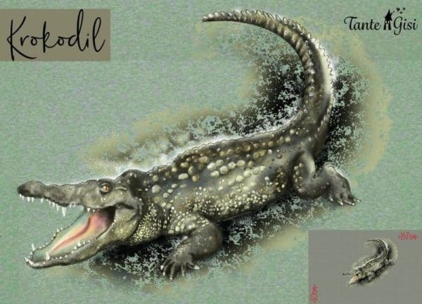 Bio Jersey Kleines Krokodil, meliert