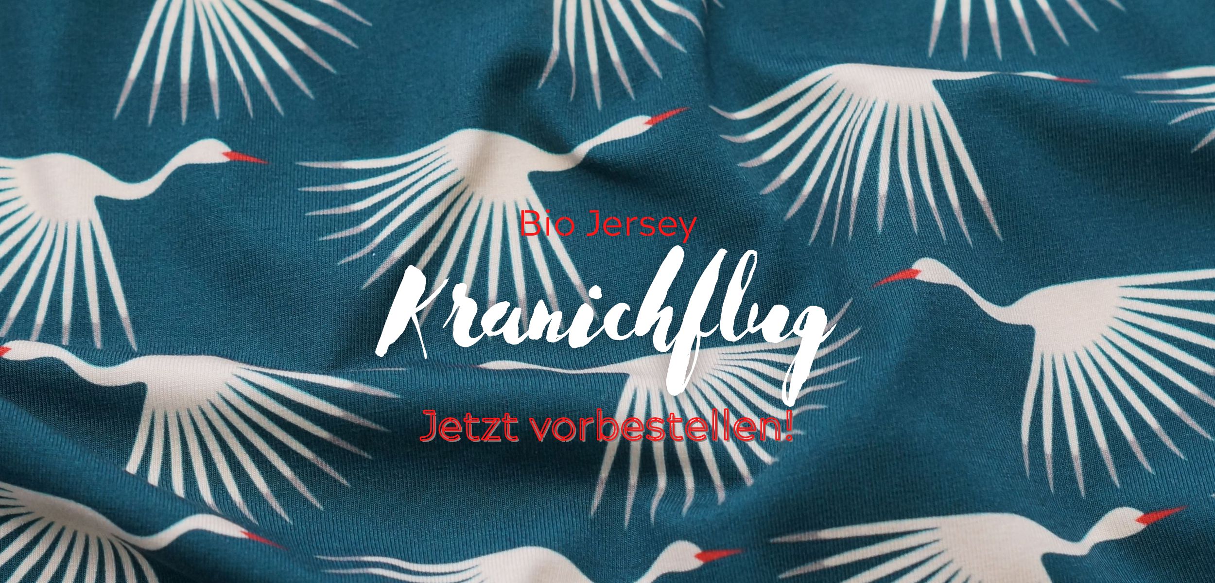 Shopbanner Kranichflug Shopbanner Kranichflug