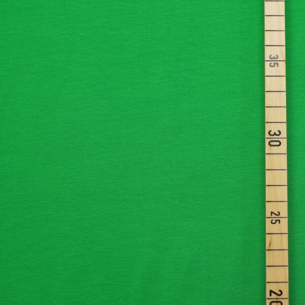 Bio Stretch Jersey Farn, farn-grün – Bild 3