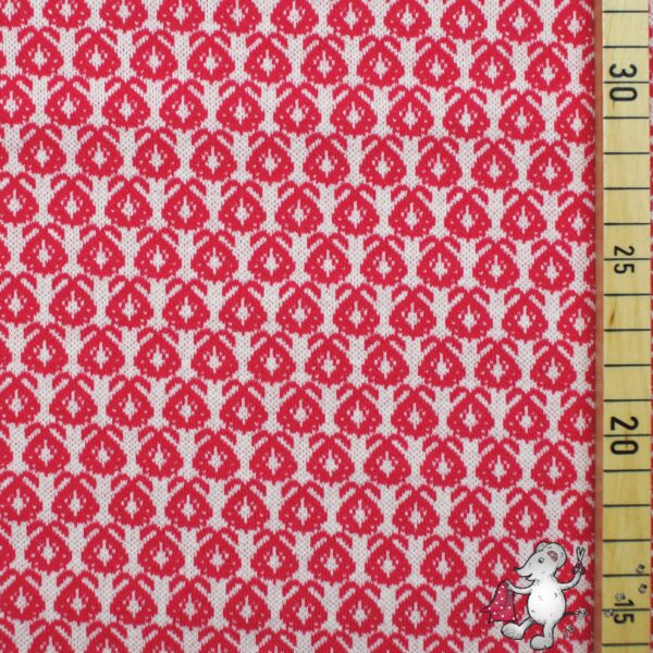 Bio Jacquard barberry fruit