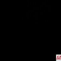 800986-1-Bio-Buendchen-schwarz-lillestoff