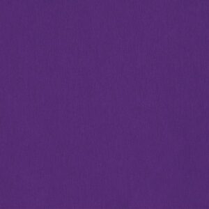 801034-1-v-Bio-Interlock-uni-tilandsia-purple-Lila-Violett-C.-Pauli