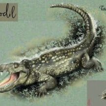 802465-1-Jersey-kleines-Krokodil-lillestoff 802465-1-Jersey-kleines-Krokodil-lillestoff