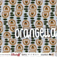 802482-1-Bio-Jersey-Orangella-meliert-Lillestoff 802482-1-Bio-Jersey-Orangella-meliert-Lillestoff