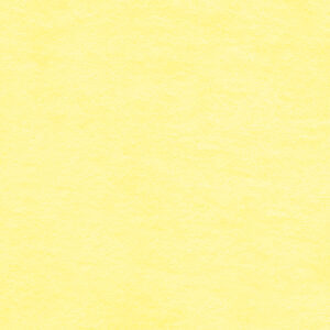 904031-1-Strickfrottee Stoff - uni - chardonnay cpauli
