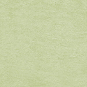 904036-1-Strickfrottee Stoff - uni - spray cpauli