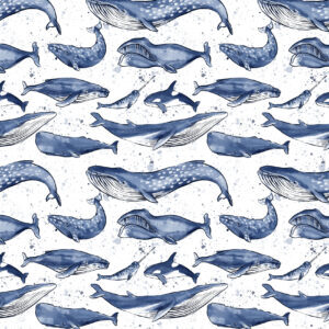 904264-1-Bio Jersey Whales lillestoff